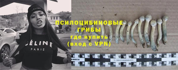 молекула духа Покачи