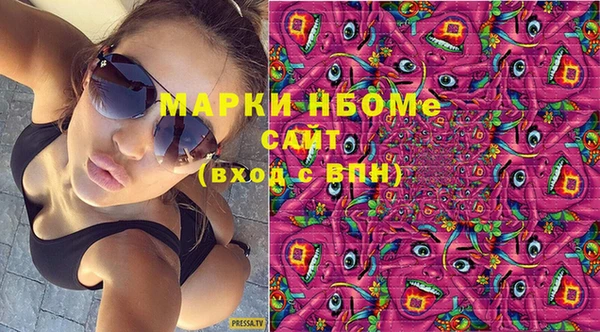 индика Абаза