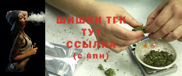 индика Абаза