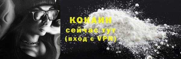 индика Абаза