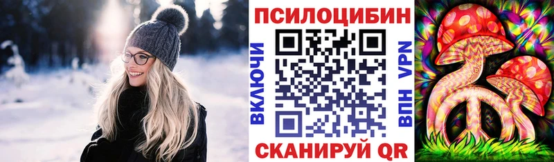 Псилоцибиновые грибы мицелий  Галич 